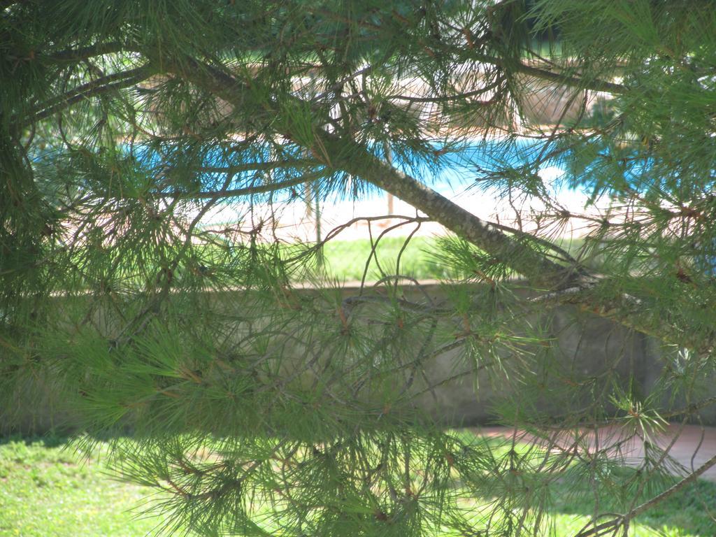 Azienda Agrituristica Allumiere Βίλα Campiglia Marittima Εξωτερικό φωτογραφία