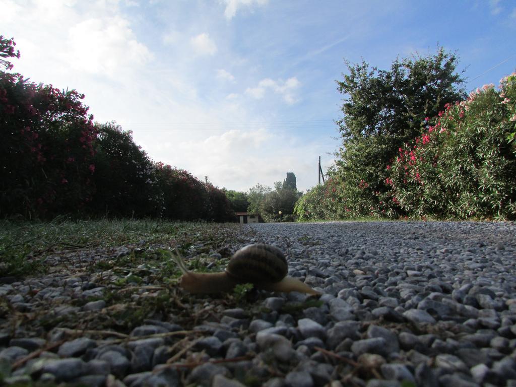 Azienda Agrituristica Allumiere Βίλα Campiglia Marittima Εξωτερικό φωτογραφία