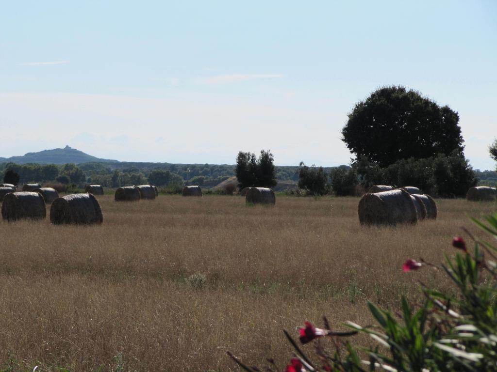 Azienda Agrituristica Allumiere Βίλα Campiglia Marittima Εξωτερικό φωτογραφία