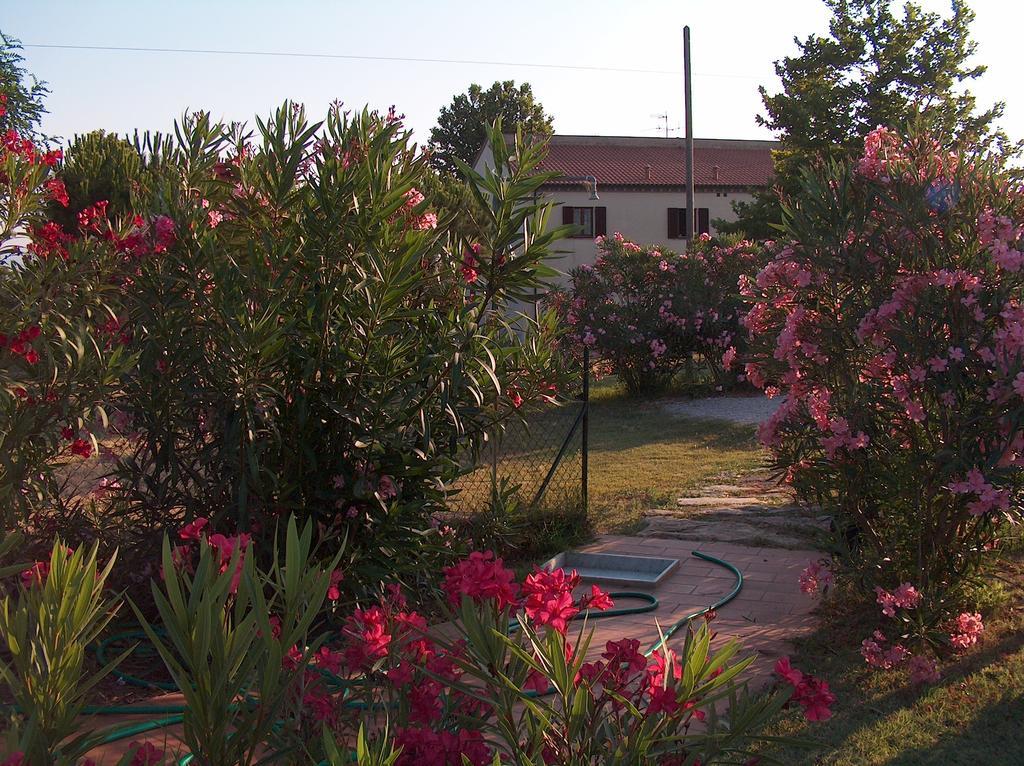 Azienda Agrituristica Allumiere Βίλα Campiglia Marittima Εξωτερικό φωτογραφία