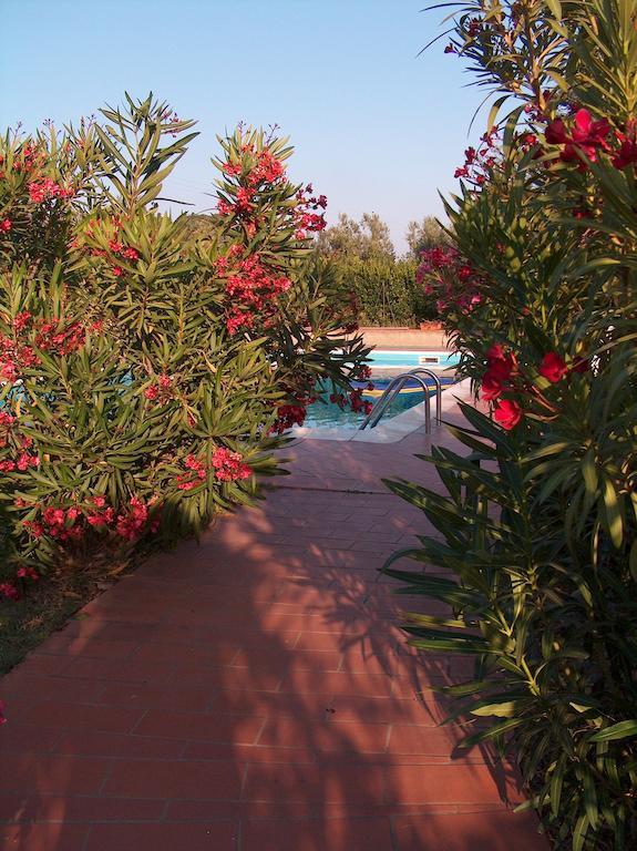 Azienda Agrituristica Allumiere Βίλα Campiglia Marittima Εξωτερικό φωτογραφία